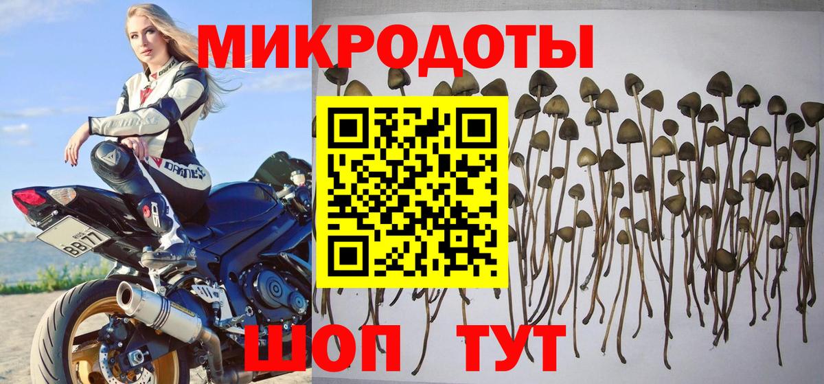 Галлюциногенные грибы ЛСД  Галлюциногенные грибы Psilocybe  Вход с VPN  Алатырь 
