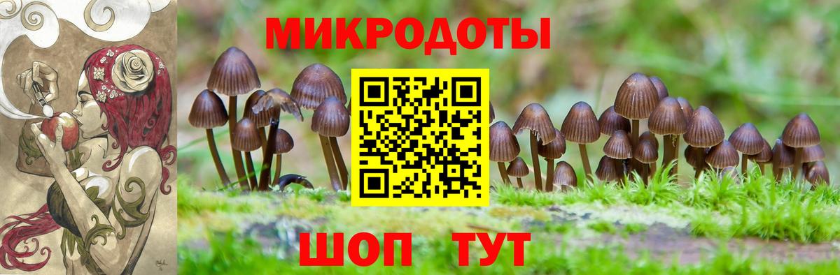Псилоцибиновые грибы прущие грибы Алатырь